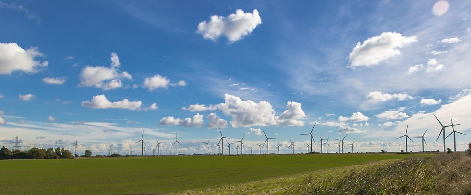 wind farm in landscape